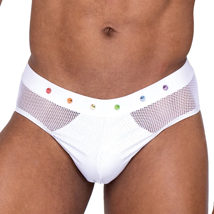 Roma Fishnet Mesh Vinyl Rainbow Stud Pride Briefs Roma Female Sex Toys