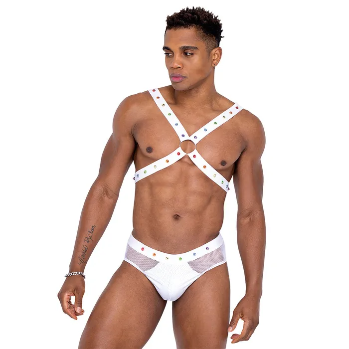 Roma Fishnet Mesh Vinyl Rainbow Stud Pride Briefs Roma Female Sex Toys
