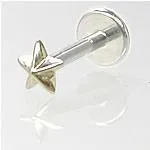Painful Pleasures Female Sex Toys 16g Internally Threaded Labret with 14kt Gold Nautical Star