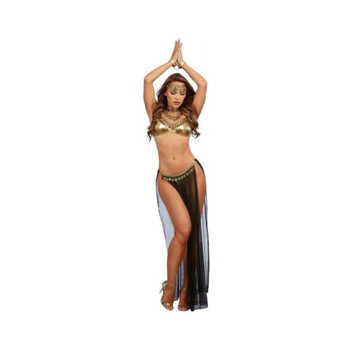 Anal 4 pc Harem Gypsy Bralette Skirted GString Headband Wrist Restraints BlackGold OS Fairvillacom Anal 4 pc Harem Gypsy Bralette Skirted GString Headband Wrist Restraints BlackGold OS Fairvillacom