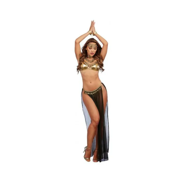 Anal 4 pc Harem Gypsy Bralette Skirted GString Headband Wrist Restraints BlackGold OS Fairvillacom