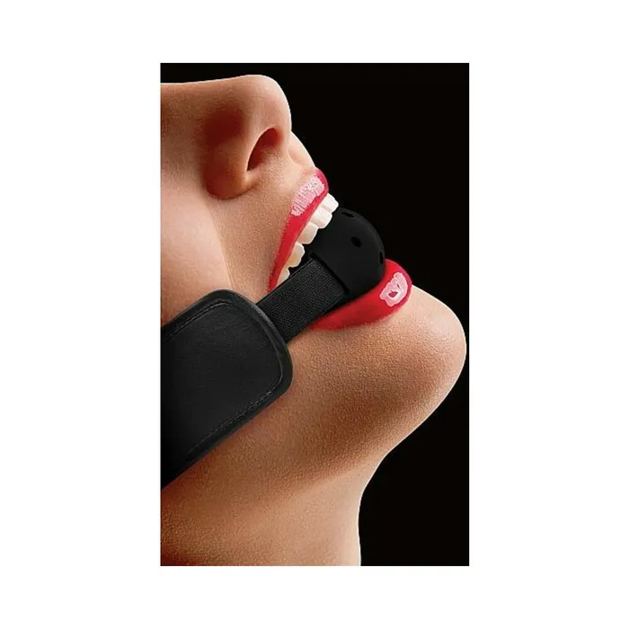 Anal Fairvillacom BRACE BALL GAG BLACK