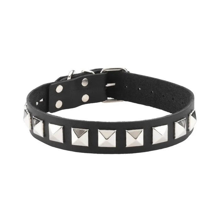 Anal Leather Collar 1 Inch With Assorted Studs Fairvillacom