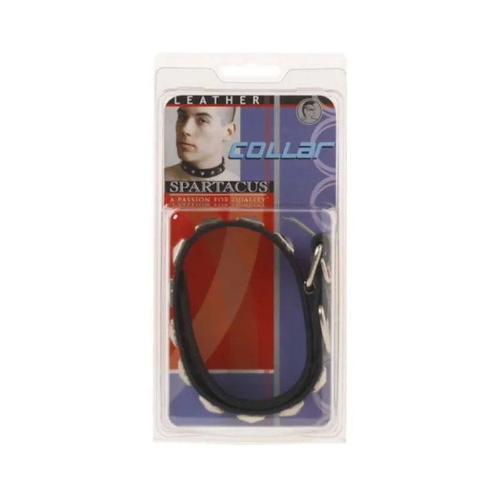 Anal Leather Collar 1 Inch With Assorted Studs Fairvillacom