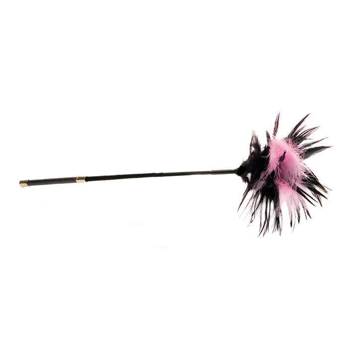 Couples Fairvillacom Sex Kitten Feather Tickler