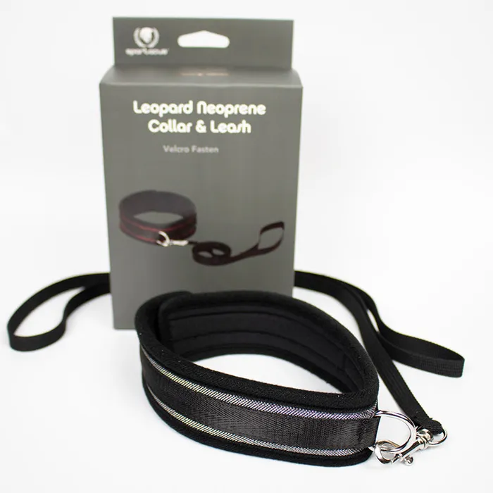 Dildos Collar And Leash Neoprene Silver Fairvillacom
