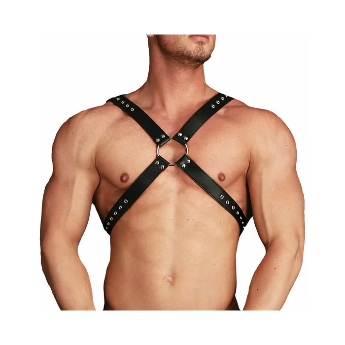 Fairvillacom Anal Ouch Adonis High Halter Black