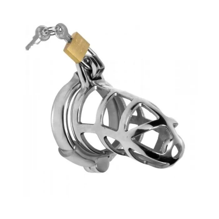Fairvillacom Detained Stainless Steel Chastity Cage Male Sex Toys
