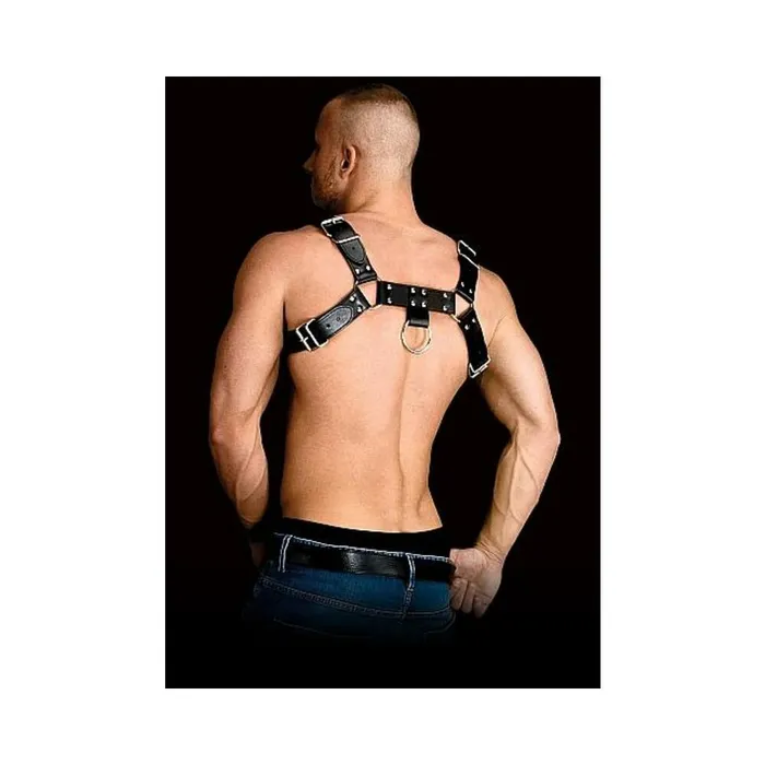 Fairvillacom Ouch Costas Solid Structure 2 Black Chest Harness Anal