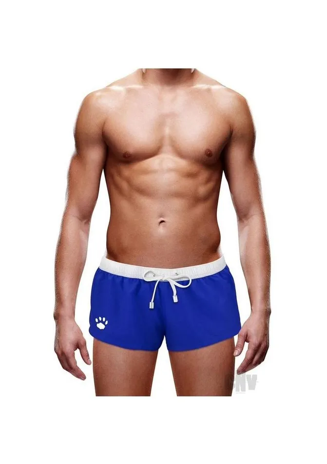 Fairvillacom Vibrators Prowler Swim Trunk Blue Lg Ss22