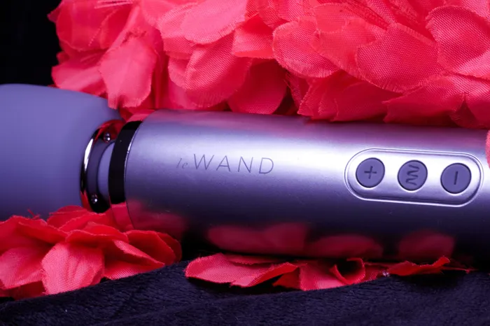 LE WAND Rechargeable 10Speed Vibrating Cordless Wand Massager Le Wand Female Sex Toys