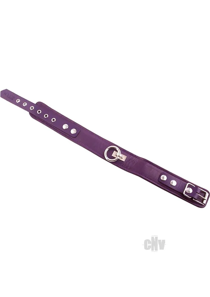 Rouge Plain Collar Purple Fairvillacom Vibrators