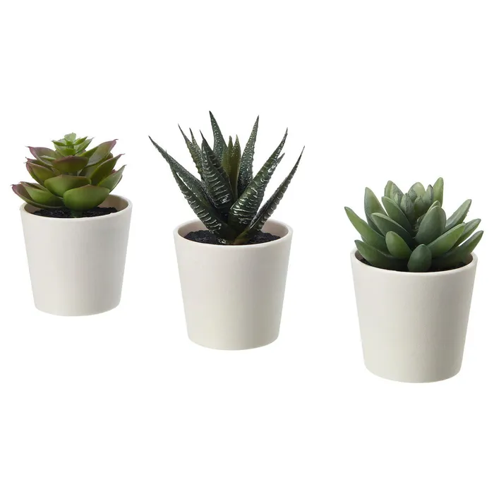 ShhhSof Anal Set of 3 Artificial Succulent Potted Plants in White Plastic Pots ShhhSof Anal Set of 3 Artificial Succulent Potted Plants in White Plastic Pots