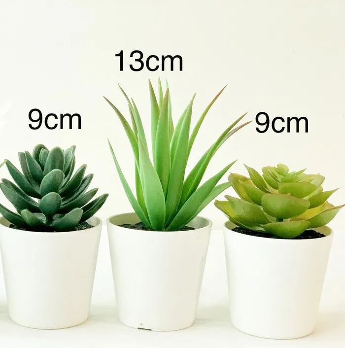 ShhhSof Anal Set of 3 Artificial Succulent Potted Plants in White Plastic Pots