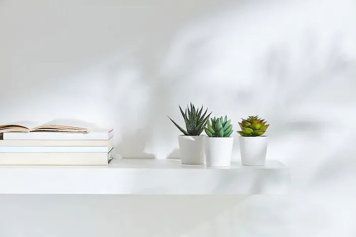 ShhhSof Anal Set of 3 Artificial Succulent Potted Plants in White Plastic Pots