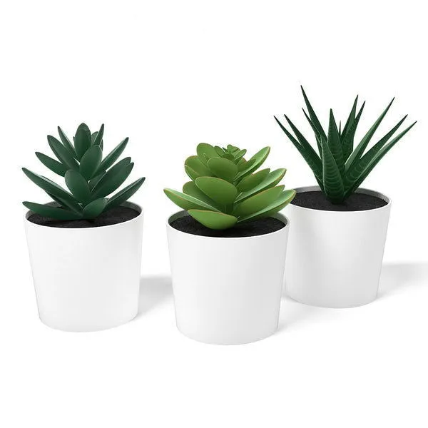 ShhhSof Anal Set of 3 Artificial Succulent Potted Plants in White Plastic Pots
