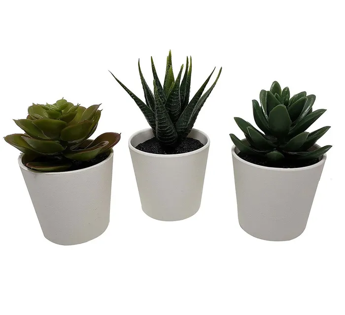 ShhhSof Anal Set of 3 Artificial Succulent Potted Plants in White Plastic Pots