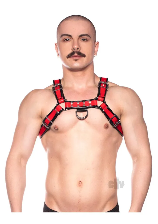 Vibrators Fairvillacom Prowler Red Bull Harness Blkred Lg