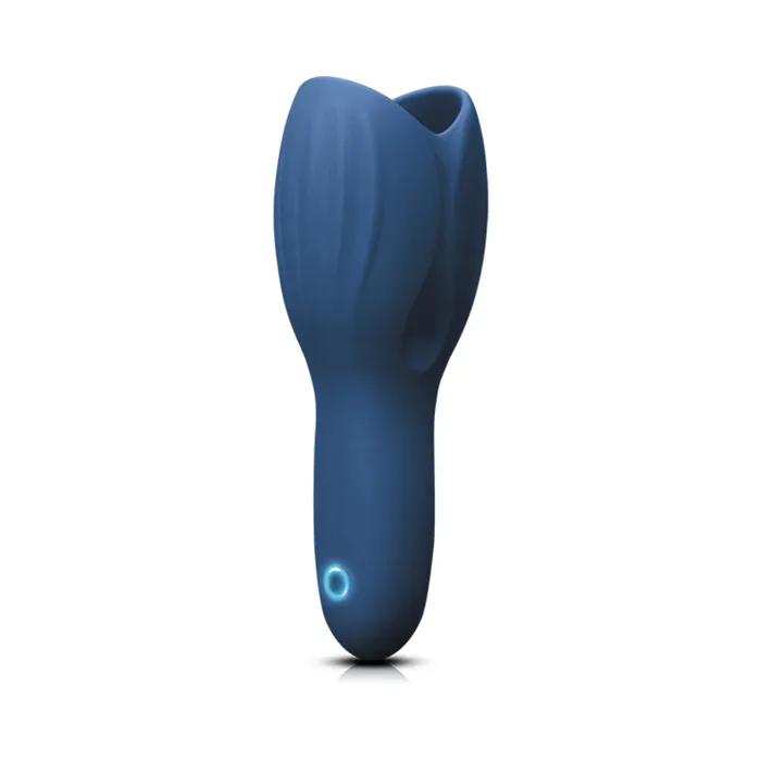 Vibrators Fairvillacom Renegade Head Unit Blue