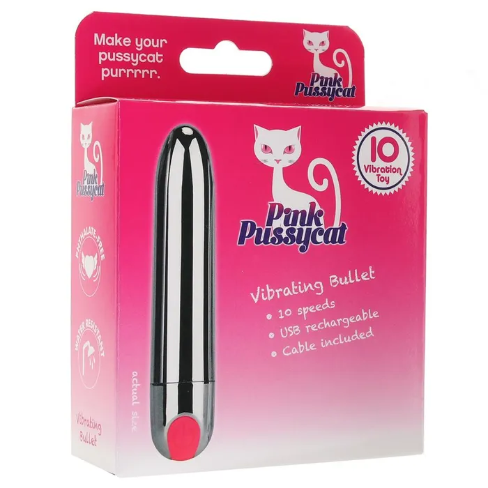 Vibrators Pink Pussycat Vibrating Bullet Silver Fairvillacom